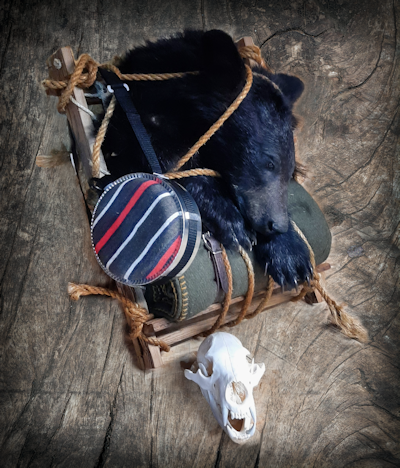 bear pack 400